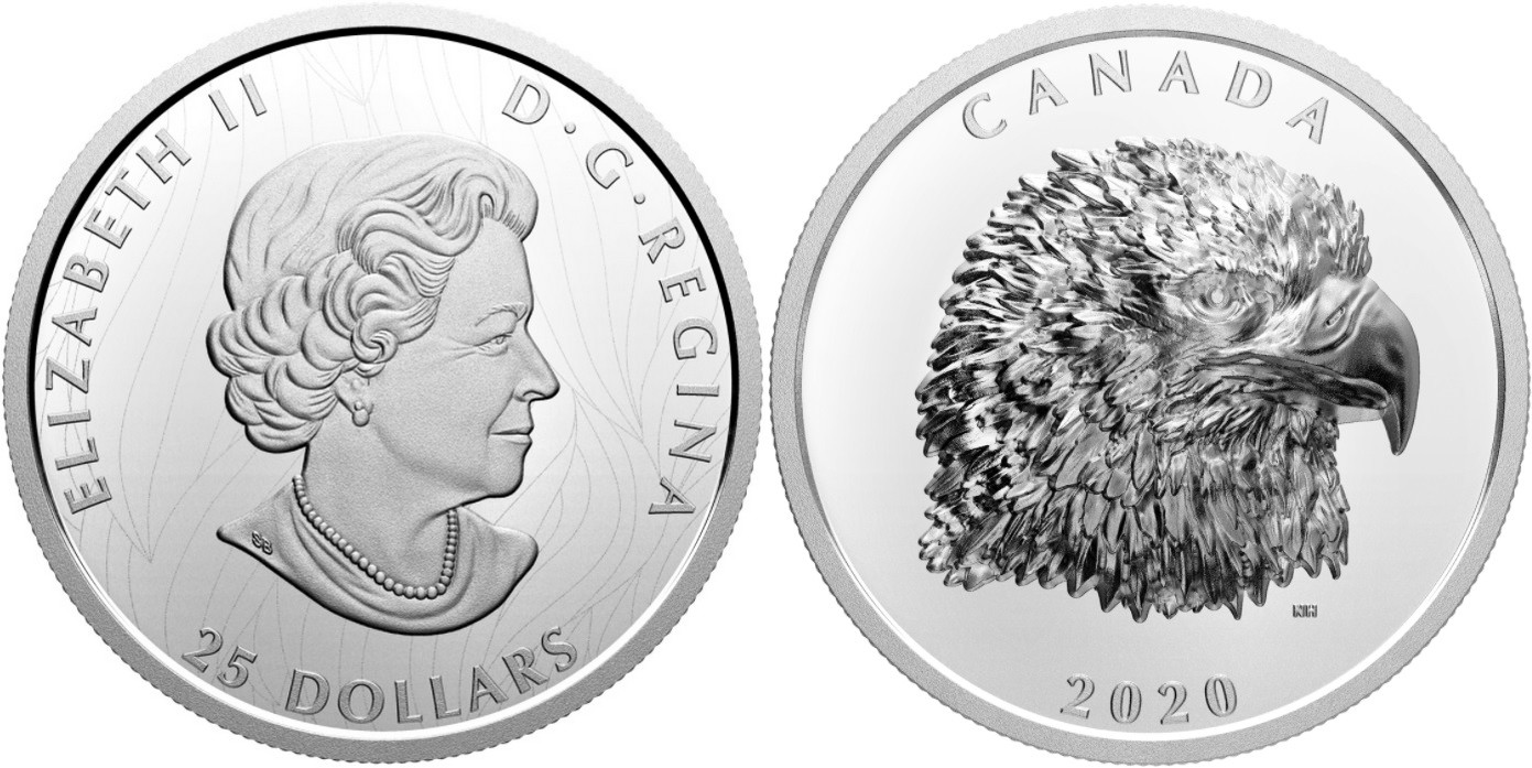 canada-2020-pygargue-a-tete-blanche