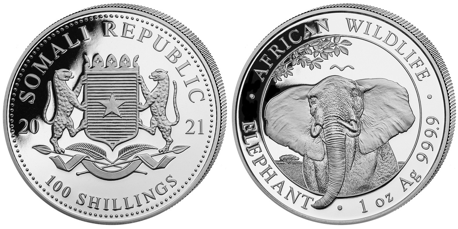 somalie-2021-elephant