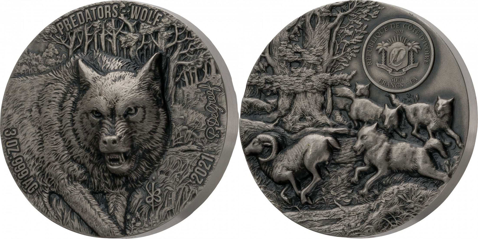 cote-divoire-2021-predateurs-loup-3-oz