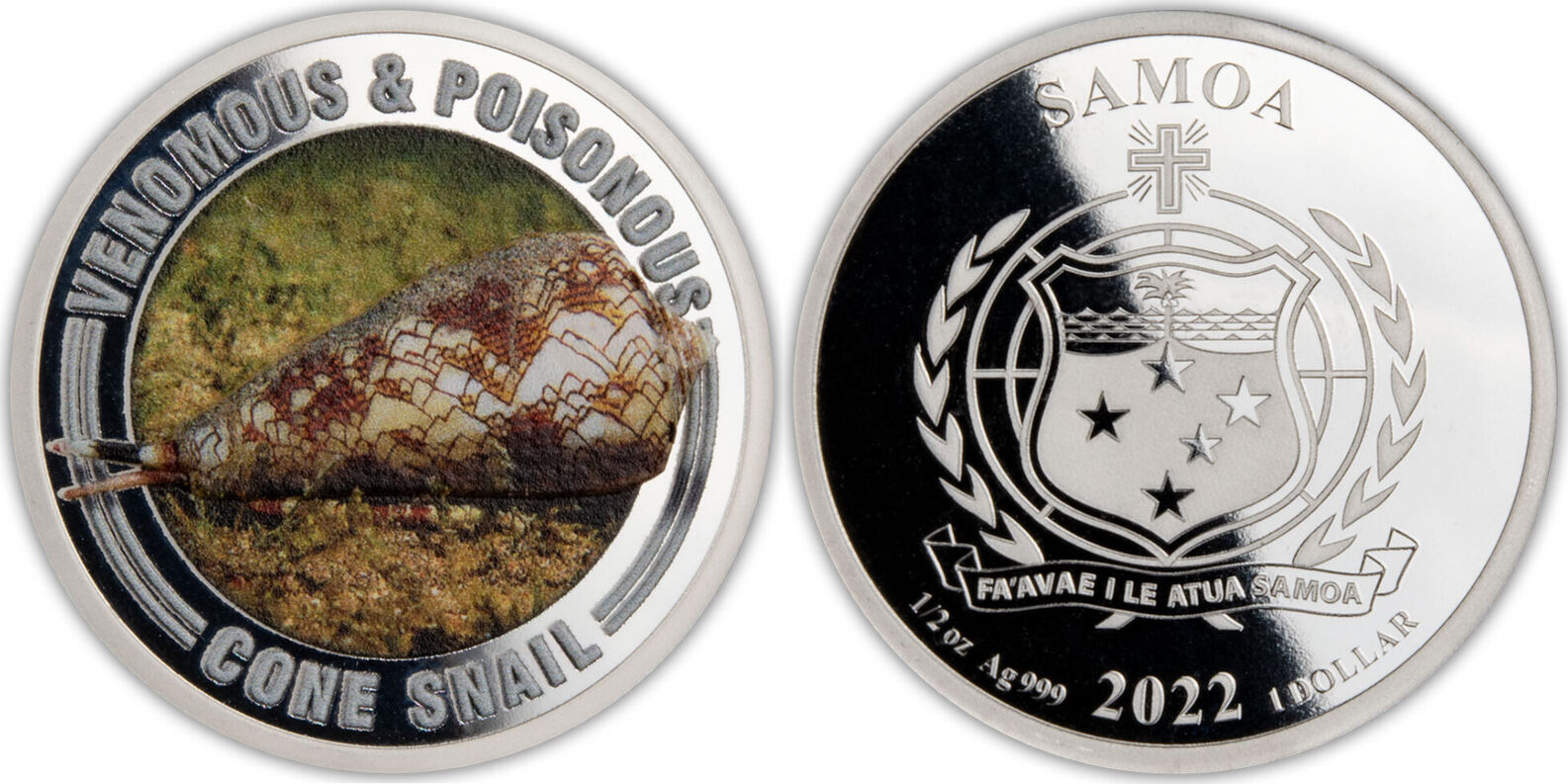 samoa-2022-poison-venimeux-cone-escargot