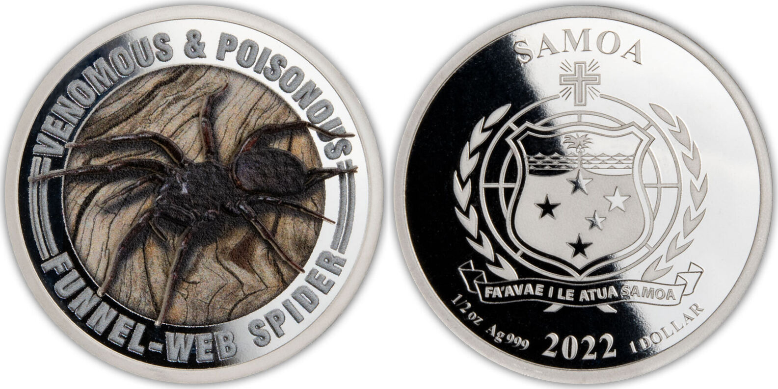 samoa-2022-poison-venimeux-mygale-atrax