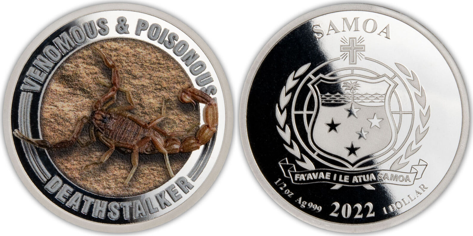 samoa-2022-poison-venimeux-scorpion