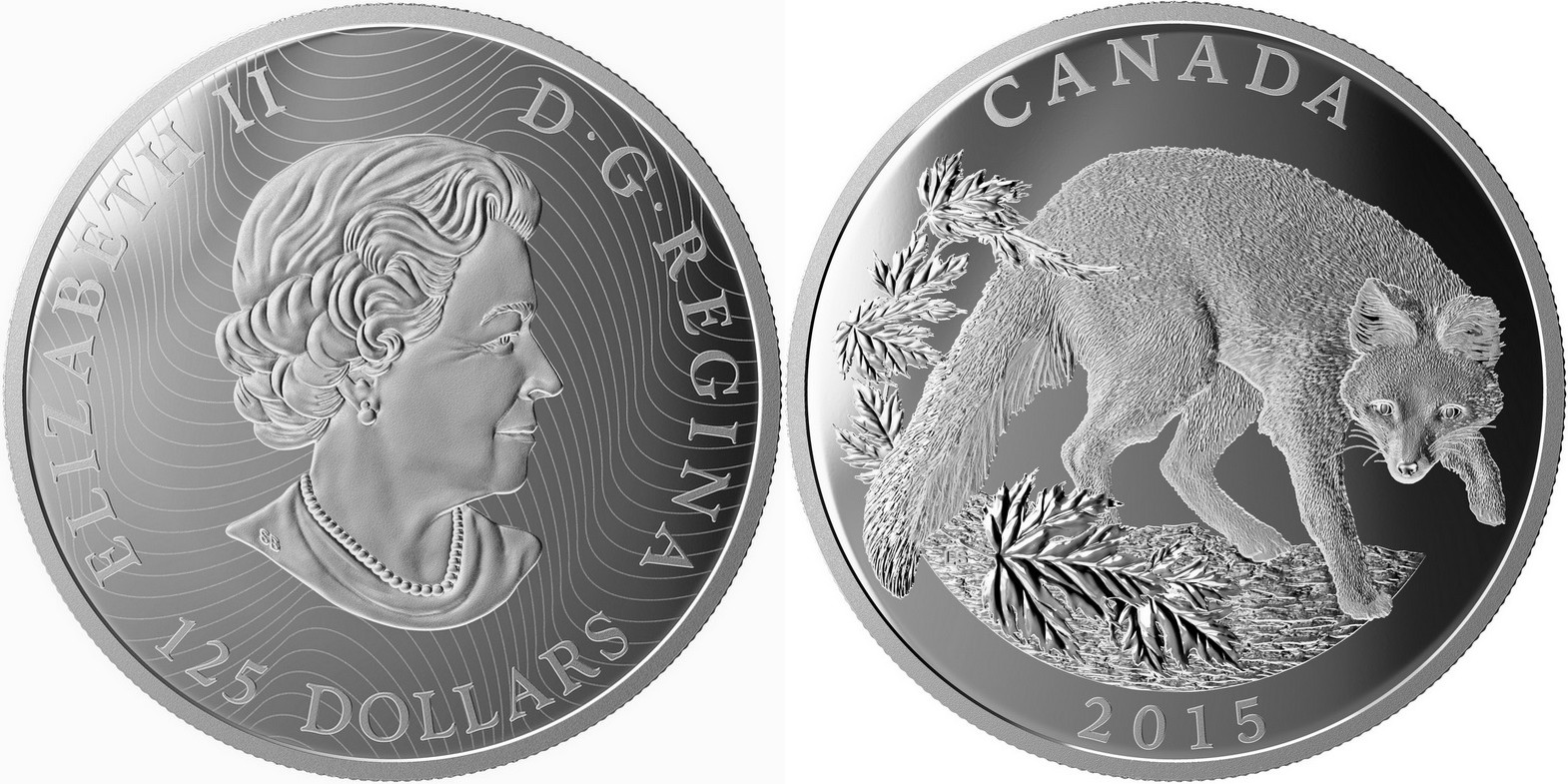 canada 2015 renard gris 500 g