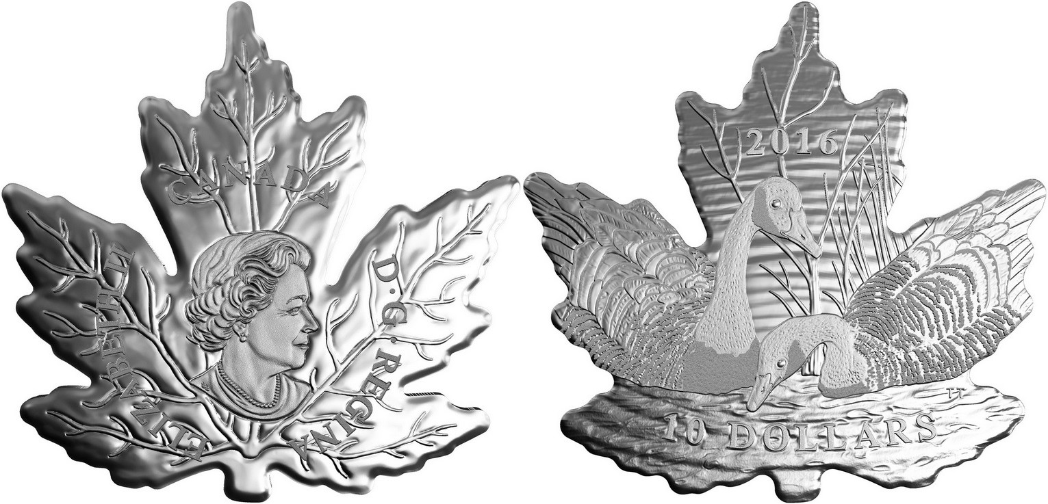canada 2016 maple leaf silhouette bernaches