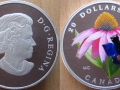 CANADA 20 DOLLARS 2013 - PAPILLON